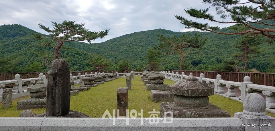 태실. 박미정 기자