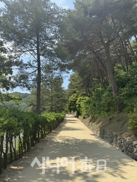 서원으로 가는 숲길이 아름답다. 박미정 기자