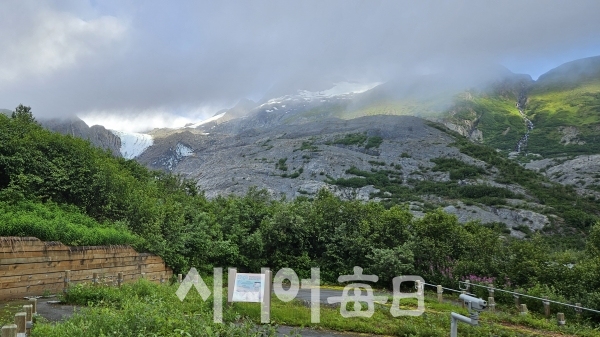 워딩턴 산악 빙하도 후퇴하고 있다. 전용희 기자