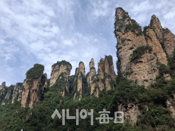 중국 원가계의 기암괴석이 병풍처럼 펼쳐져 있다. 김황태 기자