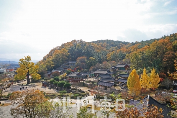 조옹대에 내려다 본 임고서원 전경. 이원선 기자